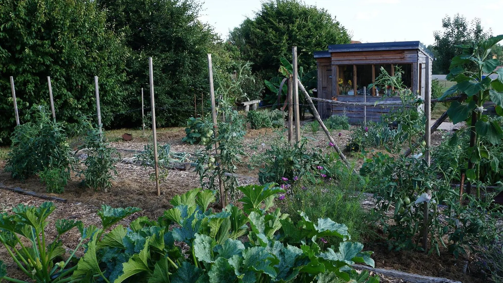 Bed & Breakfast La Grange De Noelie Bed and Breakfast Lanuejouls-et-Privezac