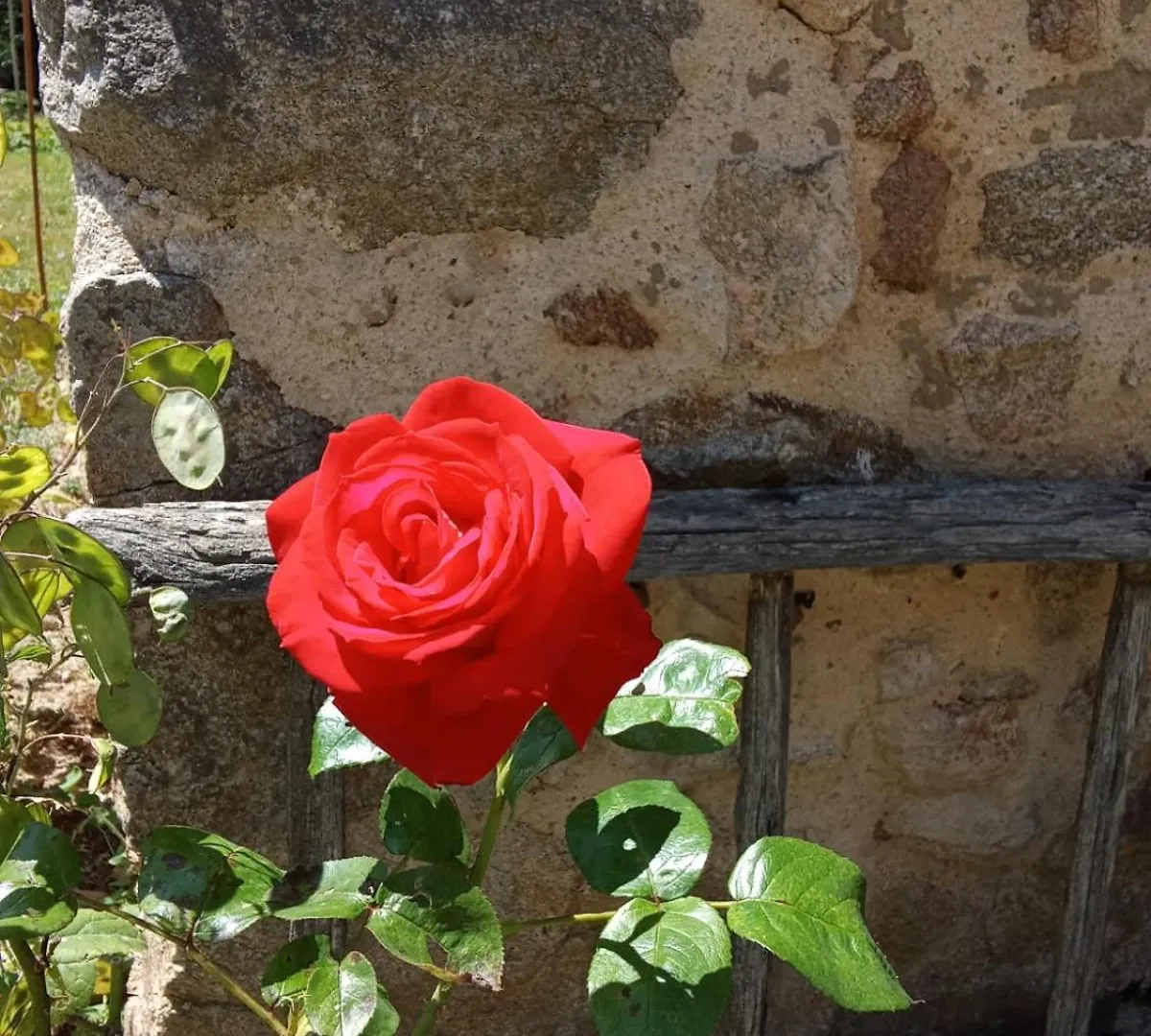 Bed & Breakfast Bed and Breakfast La Grange De Noelie Lanuejouls-et-Privezac Francia