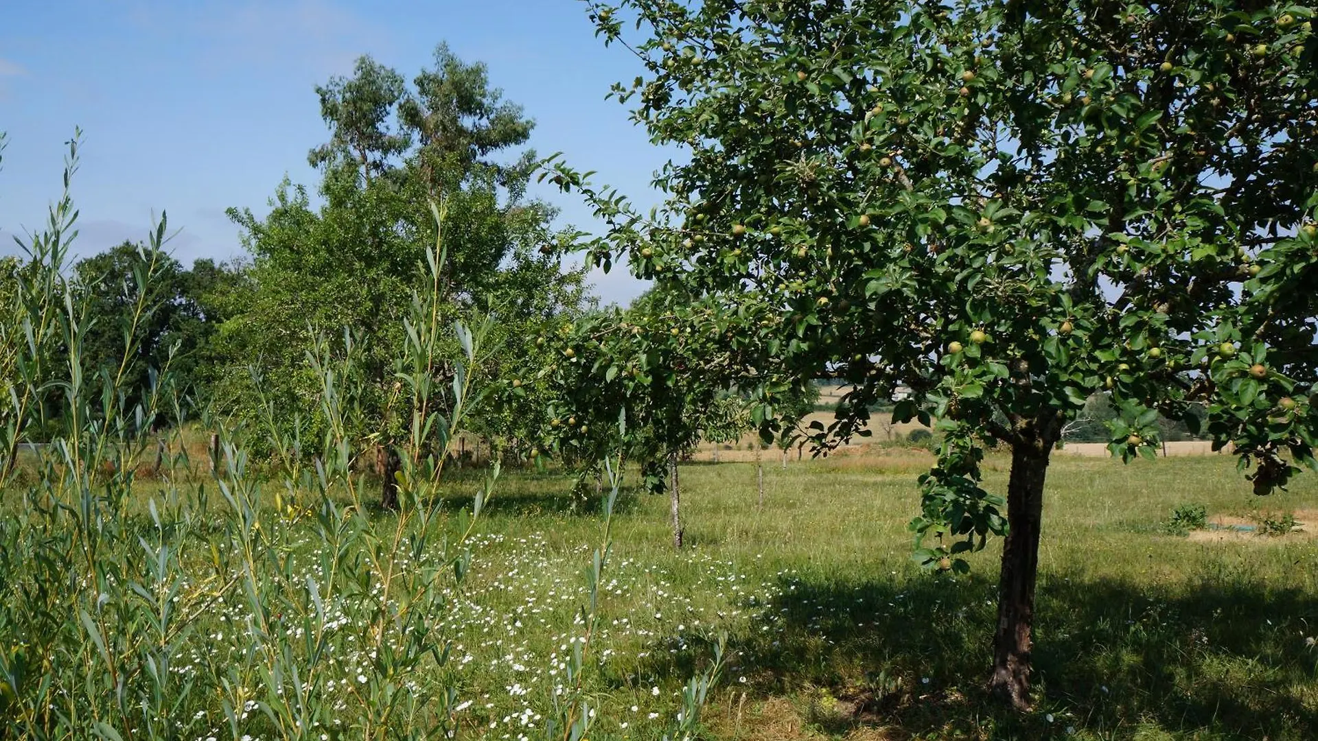 La Grange De Noelie Bed and Breakfast Lanuejouls-et-Privezac